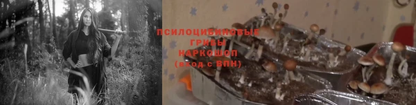 бутират Богданович