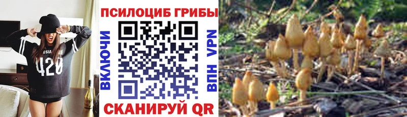 Купить закладки  Лебедянь  Галлюциногенные грибы GOLDEN TEACHER 